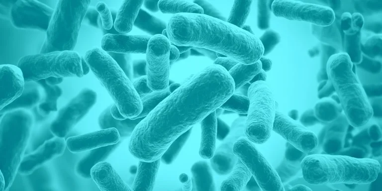 Curso Infecciones Relacionadas con la Asistencia Sanitaria